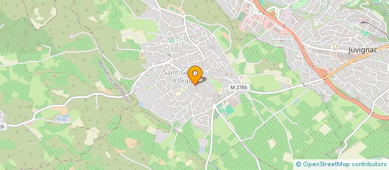 localisation de l'entreprise LM IT SERVICES  POLEYMIEUX-AU-MONT-D'OR