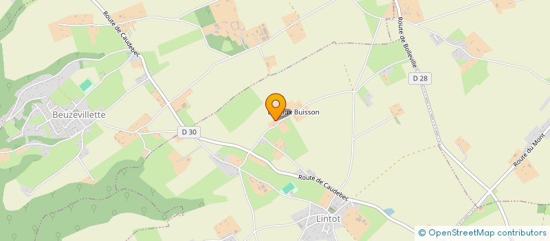 localisation de l'entreprise LM MACONNERIE CARRELAGE à LINTOT