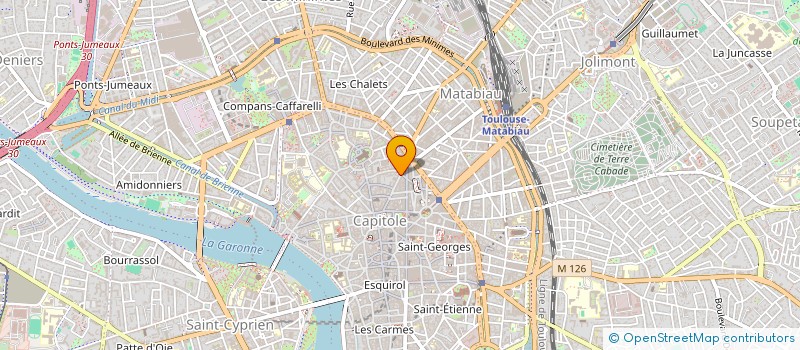 localisation de l'entreprise LM MANAGEMENT & LEADERSHIP  TOULOUSE