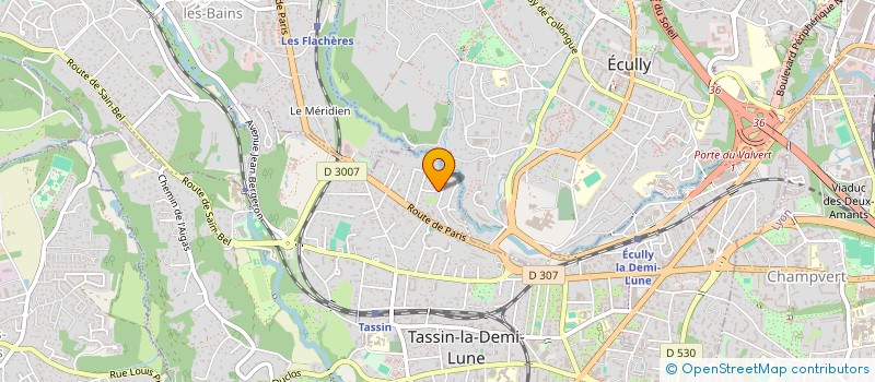 localisation de l'entreprise LM NEUVILLE 2024  TASSIN-LA-DEMI-LUNE