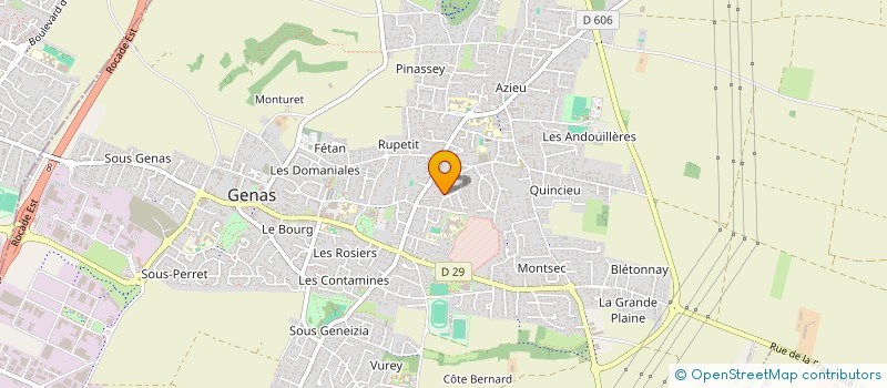 localisation de l'entreprise LM RECORDS  GENAS