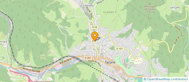 localisation de l'entreprise LMC 2  TARARE