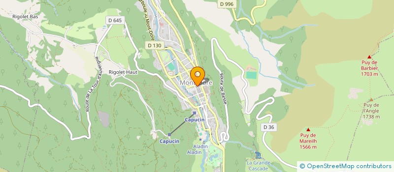 localisation de l'entreprise LMD SERVICES  MURAT-LE-QUAIRE