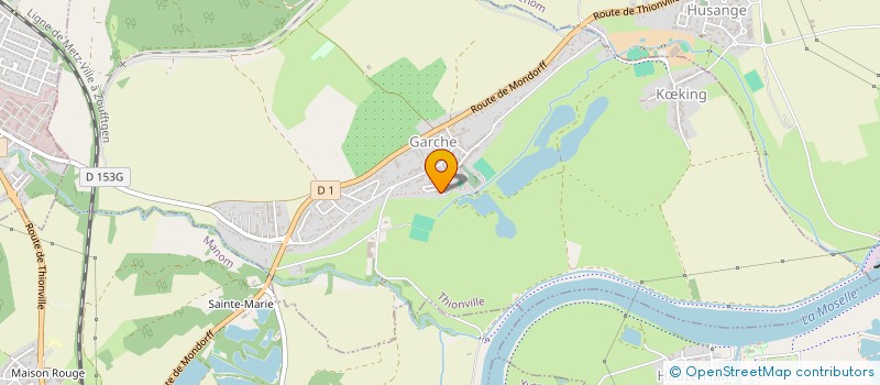 localisation de l'entreprise LMNP 13 RUE DU COQ  THIONVILLE