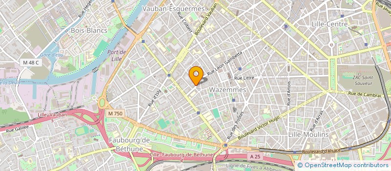 localisation de l'entreprise LMNP ALIAS NICOLAS ET MARION à LILLE