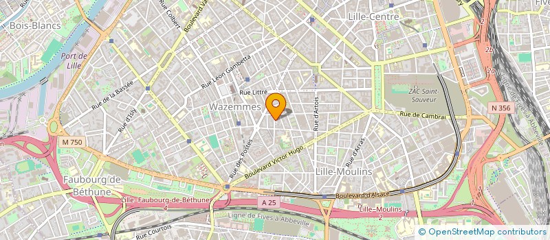 localisation de l'entreprise LMNP AZAIS-ROBERT  LILLE