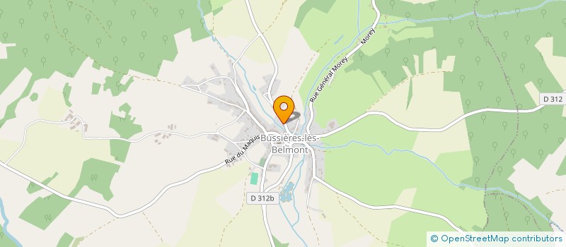 localisation de l'entreprise LMNP BUSSIERES LES BELMONTS à CHAMPSEVRAINE