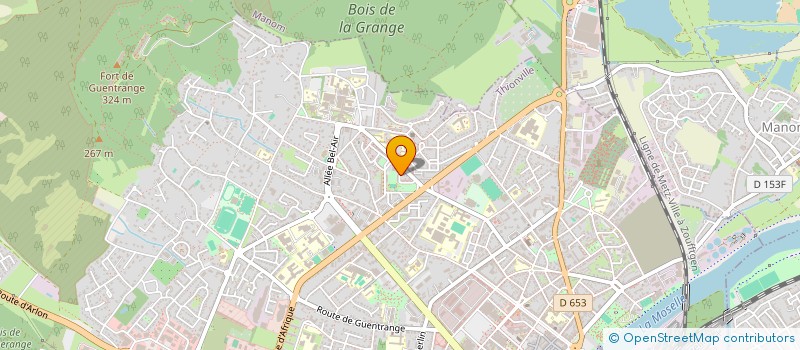 localisation de l'entreprise LMNP DELETTE THIONVILLE  THIONVILLE