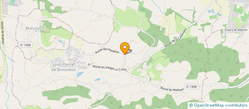 localisation de l'entreprise LMNP DOUD'S  SAINT-PIERRE-DE-BRESSIEUX