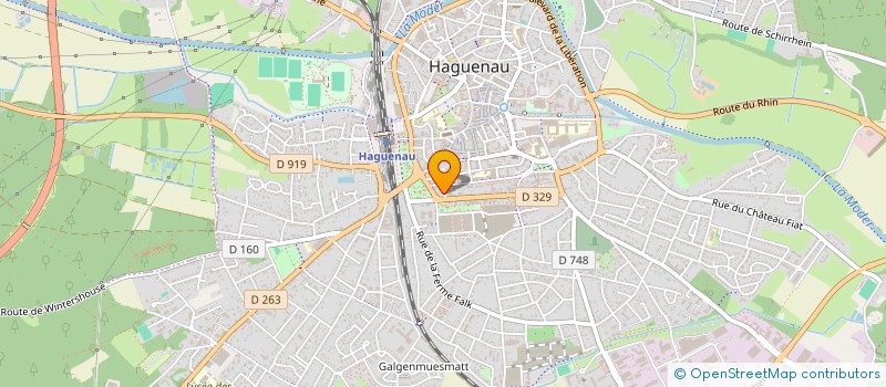 localisation de l'entreprise LMNP ELENA WITTIG ET CEDRIC BRUNET  HAGUENAU