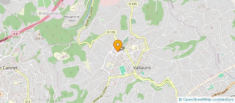 localisation de l'entreprise LMNP FUNEL ET GOARNISSON à VALLAURIS