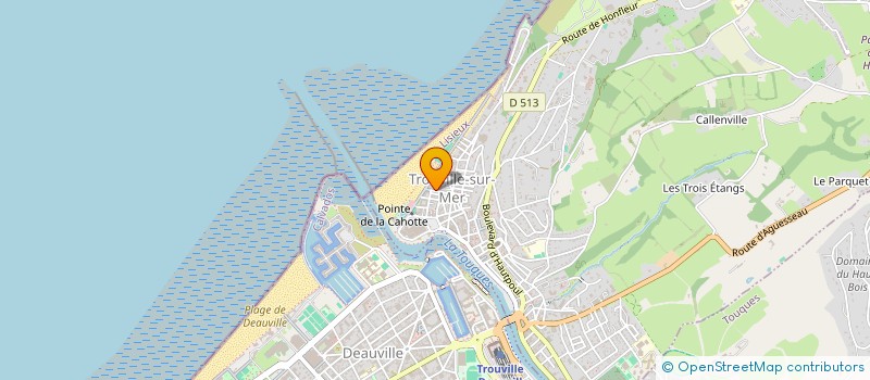 localisation de l'entreprise LMNP QUILLET-BERTHOUT  TROUVILLE-SUR-MER