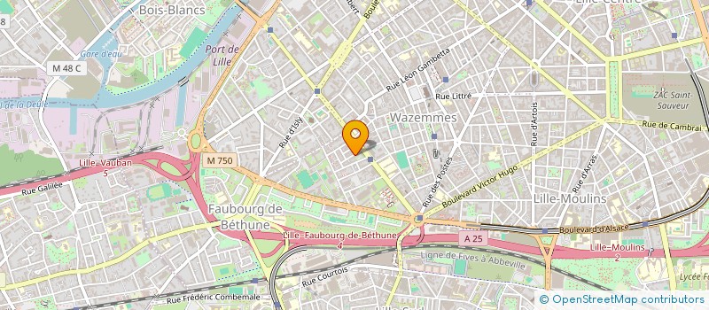 localisation de l'entreprise LMNP RITLEWSKI-DHAUSSY à LILLE