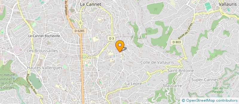 localisation de l'entreprise LMNP ROSZKO  CANNES