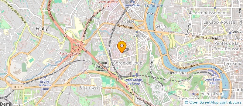 localisation de l'entreprise LMNP SAINT PIERRE DE VAISE  LYON