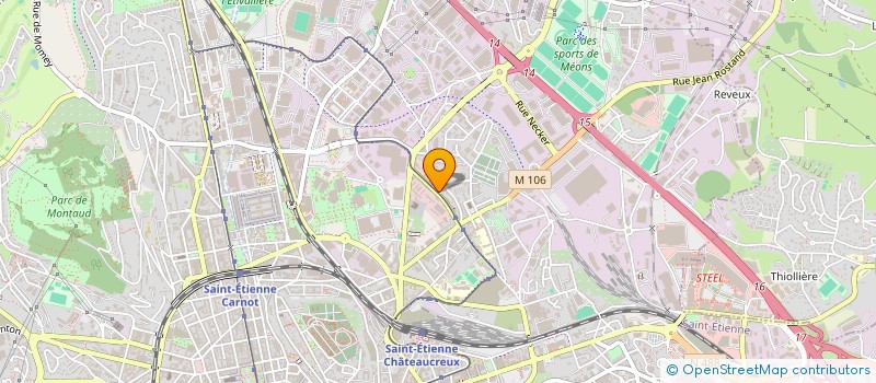 localisation de l'entreprise LMNP TEMS  SAINT-ETIENNE