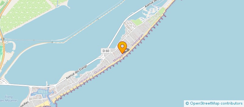 localisation de l'entreprise LMNP1 BODIOT FRUCHART à FRONTIGNAN