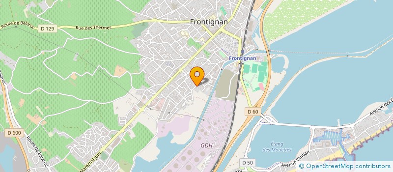localisation de l'entreprise LMO à FRONTIGNAN