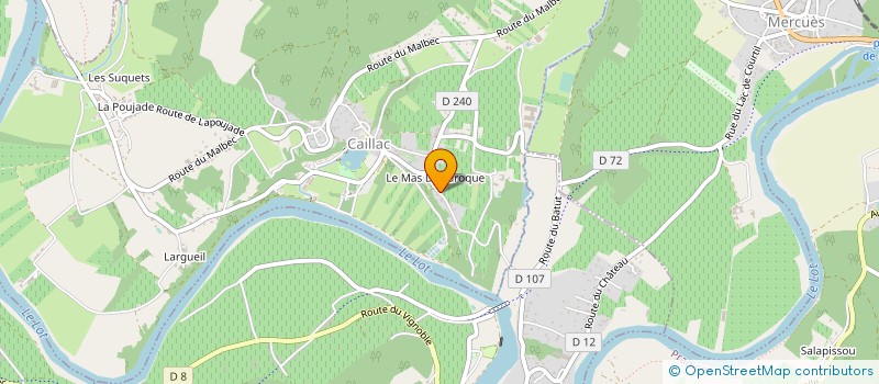 localisation de l'entreprise LO DOMENI  CAILLAC