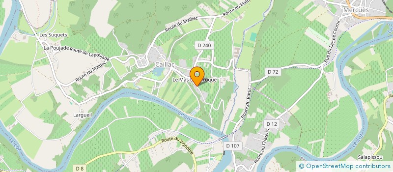 localisation de l'entreprise LO DOMENI DIFFUSION  CAILLAC