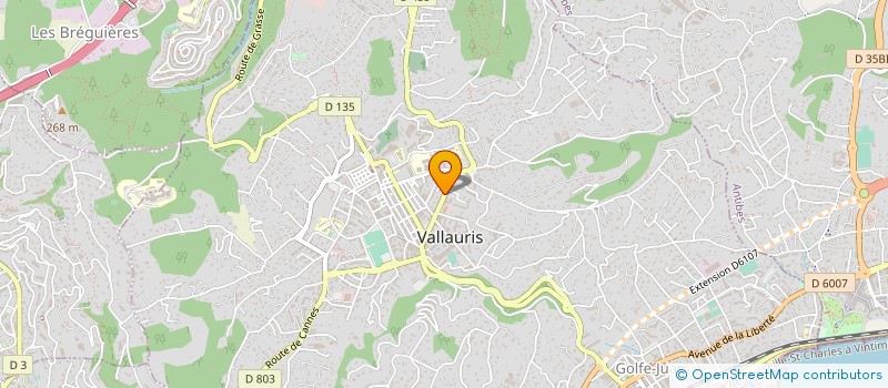 localisation de l'entreprise LOCAFAST à VALLAURIS