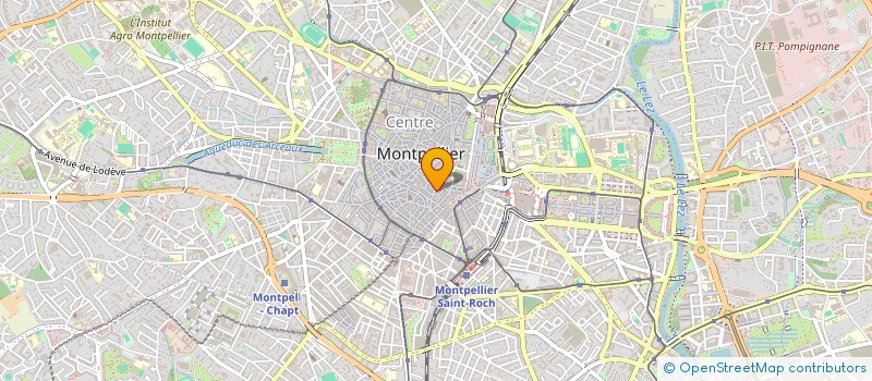 localisation de l'entreprise LOCO DOLENTI à MONTPELLIER
