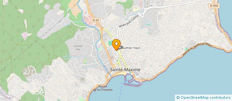 localisation de l'entreprise LODOJO à SAINTE-MAXIME