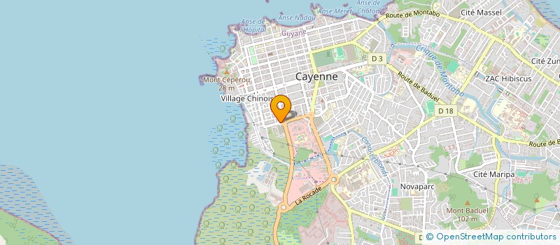 localisation de l'entreprise LOGE COMITE 21 N.1  CAYENNE