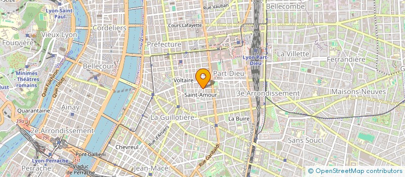 localisation de l'entreprise LOGISCANN à LYON