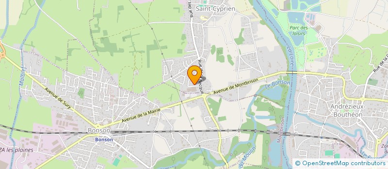 localisation de l'entreprise LOIRE MULTISERVICES à SAINT-CYPRIEN