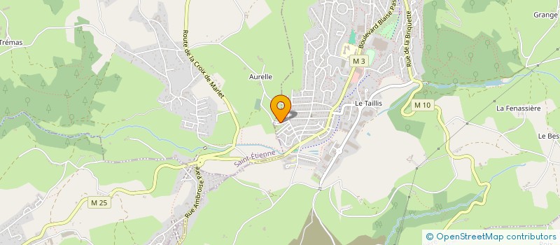 localisation de l'entreprise LOIRE TRANSPORT AFFRETEMENT  ROCHE-LA-MOLIERE