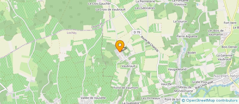 localisation de l'entreprise LOIRE VALLEY RACING à NAZELLES-NEGRON
