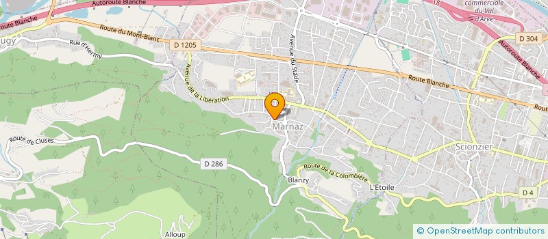 localisation de l'entreprise LOLALOC  MARNAZ