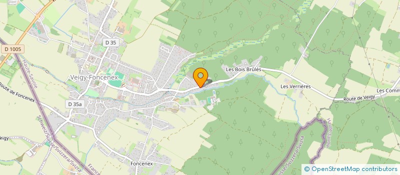 localisation de l'entreprise LOMHOLT & FILS SAS  VEIGY-FONCENEX