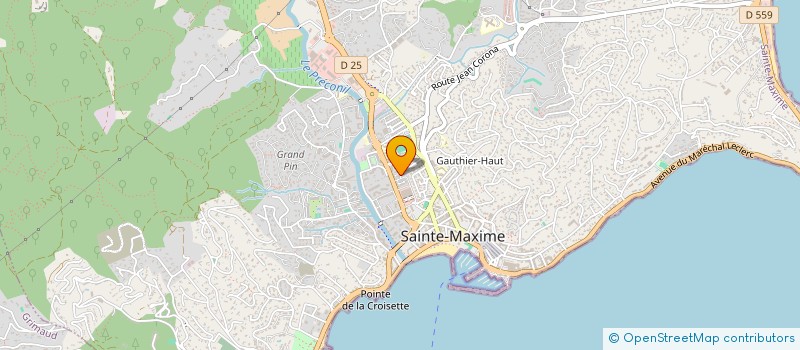 localisation de l'entreprise LOOCK à SAINTE-MAXIME