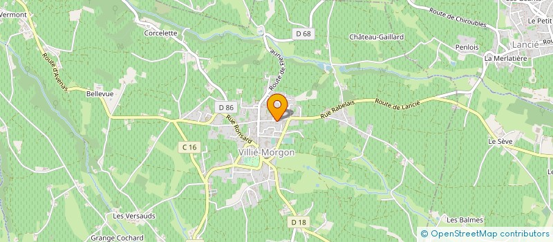 localisation de l'entreprise LOOKONEARTH LO-SERVICES  LYON