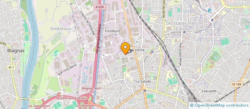 localisation de l'entreprise LOOSE SOULS à TOULOUSE