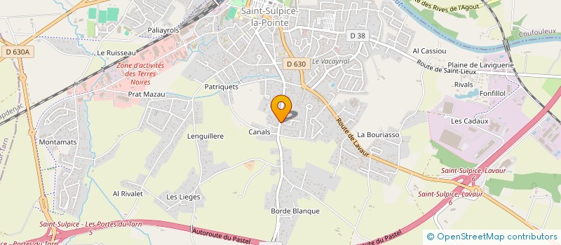 localisation de l'entreprise LOU CASTELOUS à SAINT-SULPICE-LA-POINTE