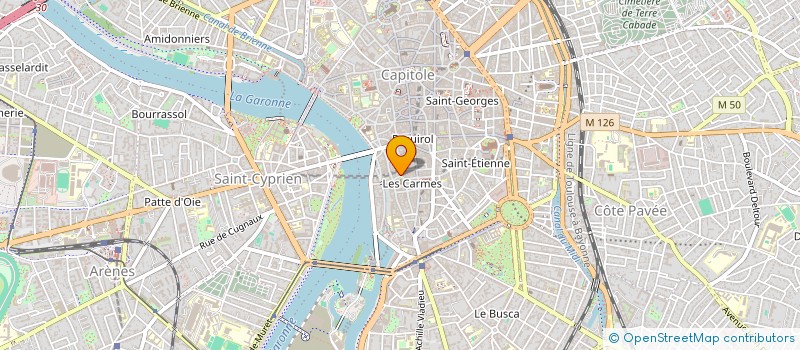 localisation de l'entreprise LOU GARDEN à TOULOUSE