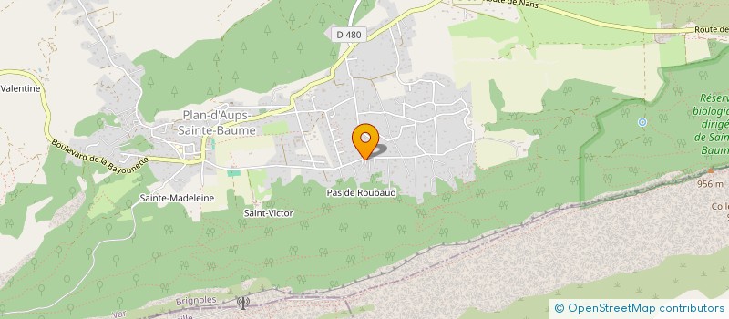 localisation de l'entreprise LOU PEBRE D AI à PLAN D'AUPS SAINTE BAUME