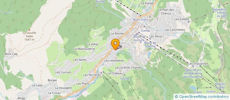 localisation de l'entreprise LOU RASSIGNOLETS  LES RHODODENDRONS  LES GETS