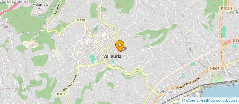 localisation de l'entreprise LOUCAPEOU à VALLAURIS