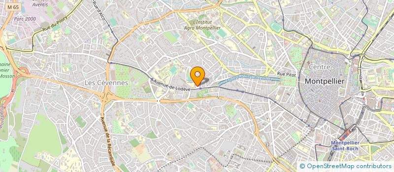 localisation de l'entreprise LOUHAICHI AFHIJ à MONTPELLIER