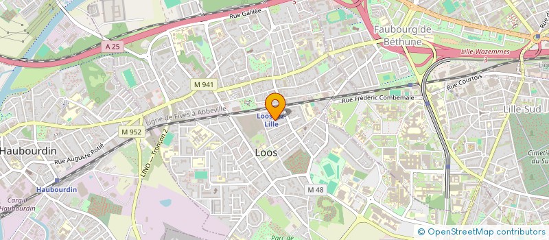 localisation de l'entreprise LOUIS-JEAN ET LACASSAGNE  LOOS