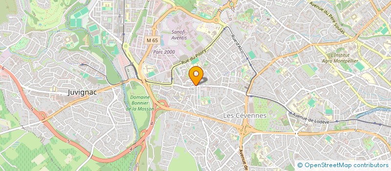 localisation de l'entreprise LOUIZI à MONTPELLIER