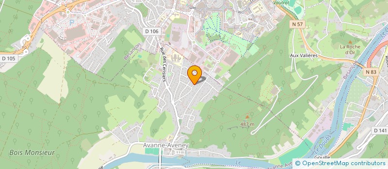 localisation de l'entreprise LOUK HOLDING  AVANNE-AVENEY