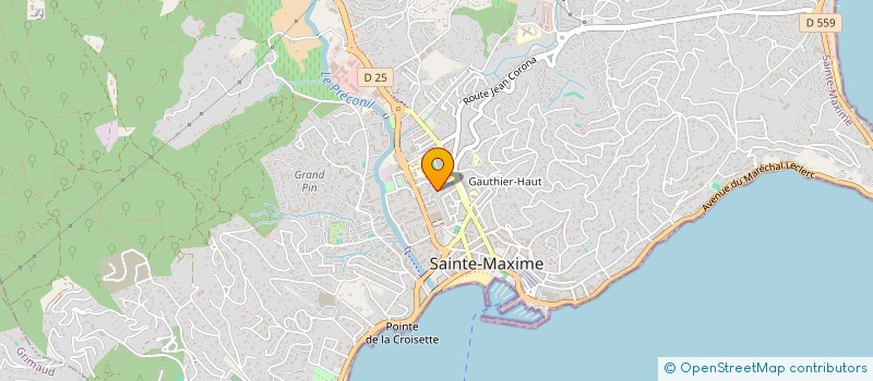 localisation de l'entreprise LOULEMA à SAINTE-MAXIME