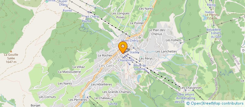 localisation de l'entreprise LOULOU 2  LES GETS