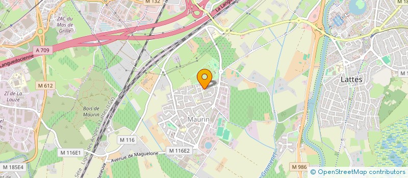 localisation de l'entreprise LOULOU à LATTES