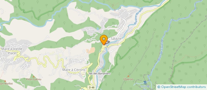 localisation de l'entreprise LOULOU MARKET  SALAZIE